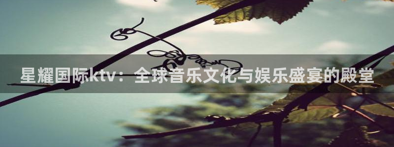 今天足球比赛500网