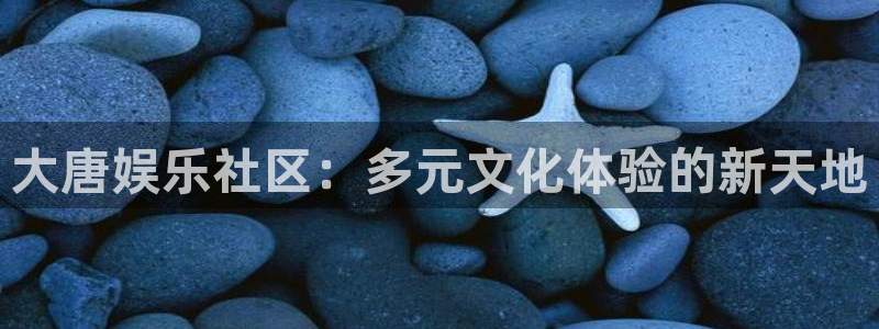 500网app官网下载