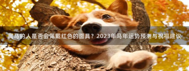 足球昨天比赛结果查询500网