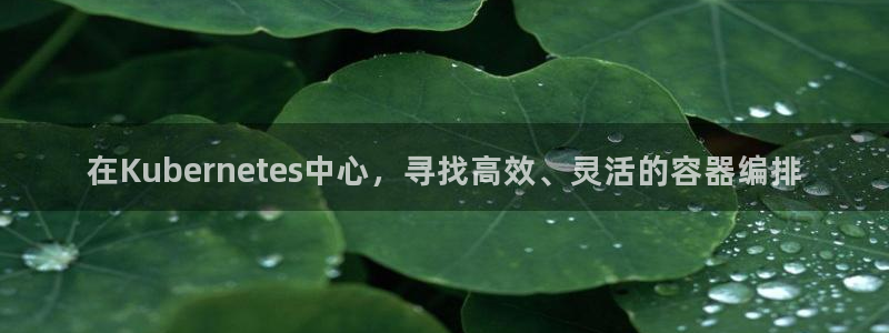篮球比赛结果查询500网