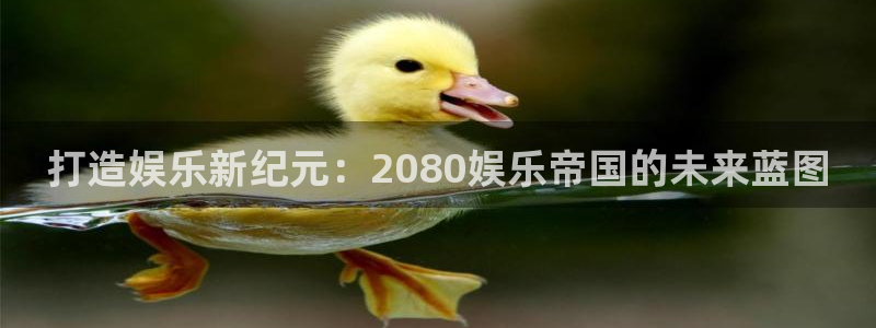 500网仅提供数据和内容