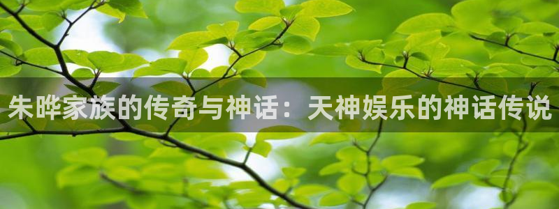 今天是球比赛500网