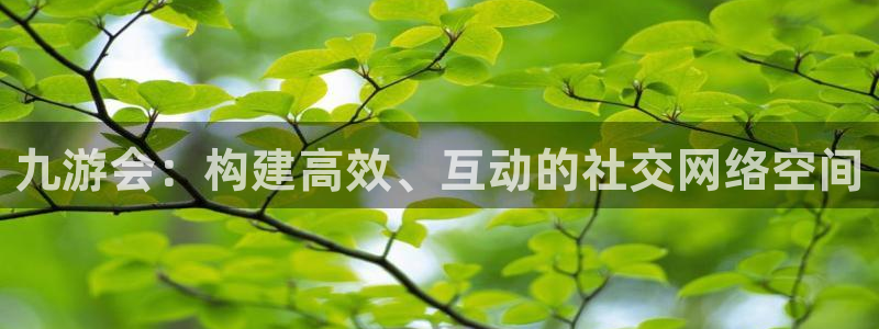 500网官网入口