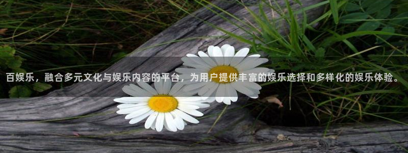 500网比分即时网