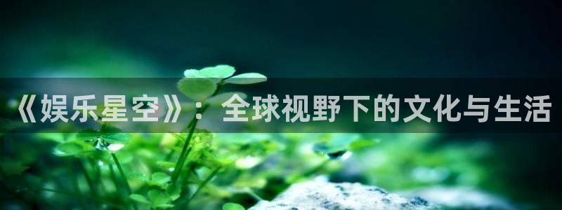 500网三地试机号