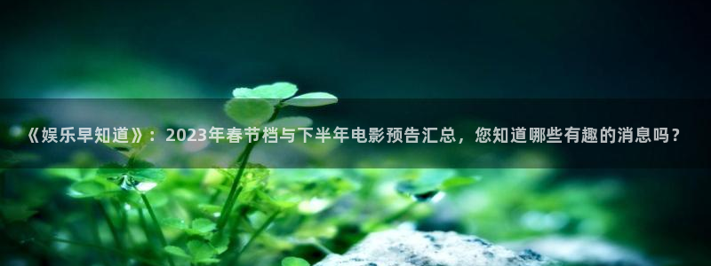 500网app的精选预测汇总