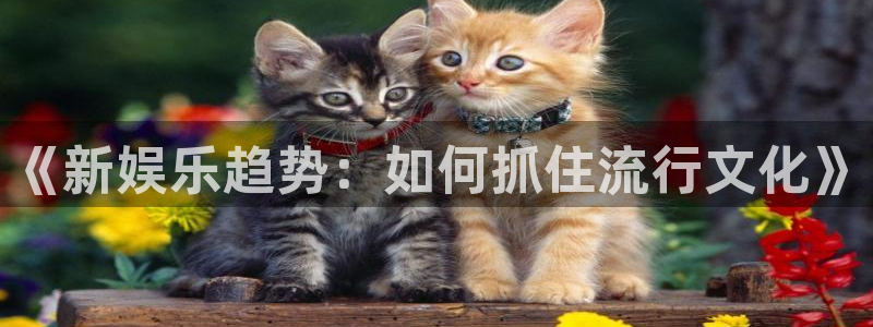 今天足球比赛500网：《新娱乐趋势：如何抓住流行文化》