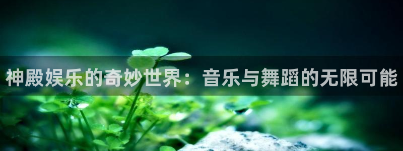 500网app是什么软件：神殿娱乐的奇妙世界：音乐与舞蹈的无限可能