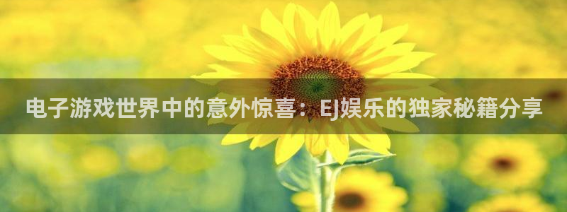 比分500网：电子游戏世界中的意外惊喜：EJ娱乐的独家秘籍分享