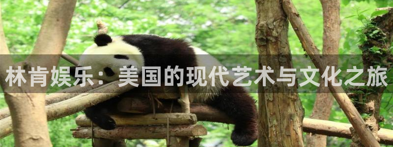 今天足球比赛500网：林肯娱乐：美国的现代艺术与文化之旅