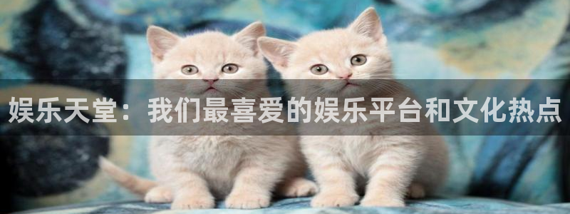 今天足球比赛结果500网：娱乐天堂：我们最喜爱的娱乐平台和文化热点