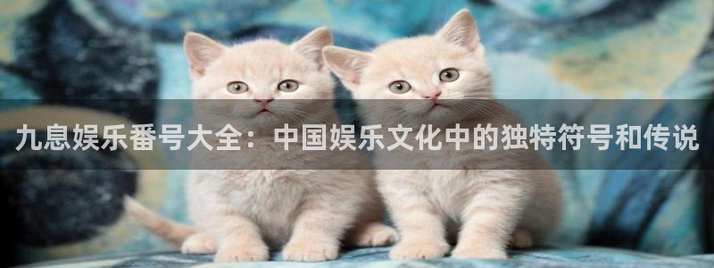 500网比赛结果：九息娱乐番号大全：中国娱乐文化中的独特符号和传说