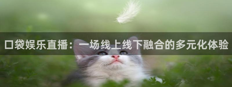 500网足球比分完场版：口袋娱乐直播：一场线上线下融合的多元化体验