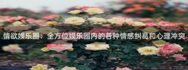 500网足球即时比分直播：情欲娱乐圈：全方位娱乐圈内的各种情感纠葛和心理冲突