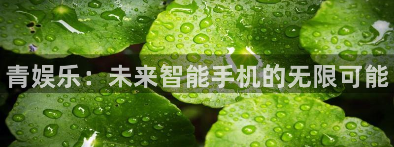500网预测一个比分：青娱乐：未来智能手机的无限可能