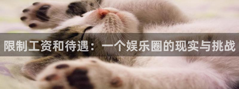足球比赛结果500网直播：限制工资和待遇：一个娱乐圈的现实与挑战