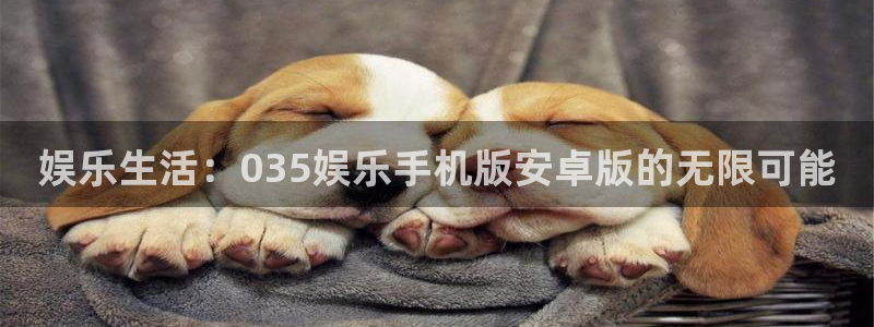 500网比分即时网：娱乐生活：035娱乐手机版安卓版的无限可能