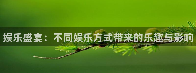 500网app下载：娱乐盛宴：不同娱乐方式带来的乐趣与影响
